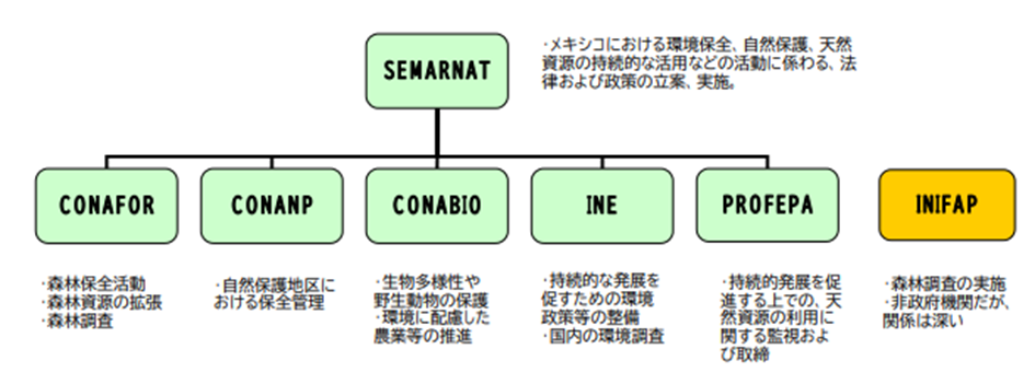 図8　環境・天然資源省の組織構成