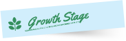 Growth Stage