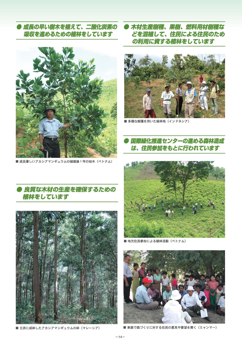 植林活動のご報告 公益財団法人 国際緑化推進センター